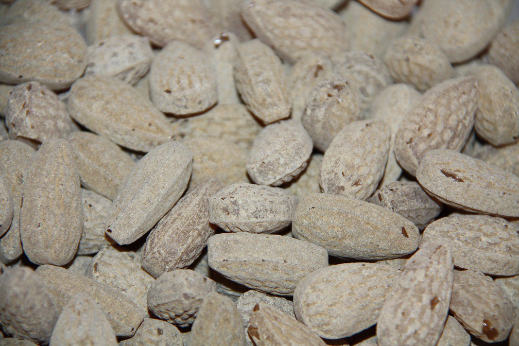 Halva Pommix Lakritsi 2.0 kg