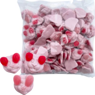 Vegaaniset Leijonat 1kg