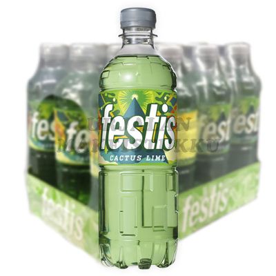 Festis Cactus Lime hedelmäjuoma 500ml x 12kpl
