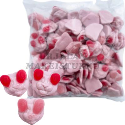 Vegaaniset Leijonat 1kg