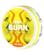 Lewa Burn Citrus & Mint 50mg energiapussi 20 pussia