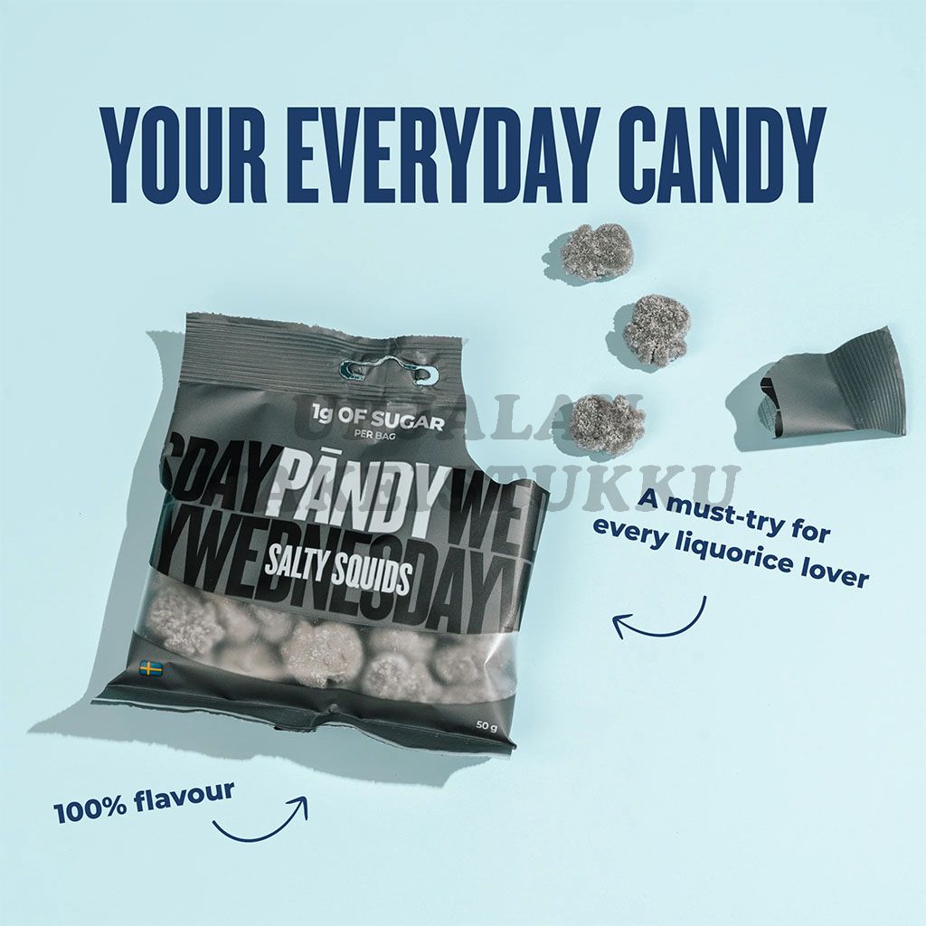 Pändy Salty Squids makeispussi 50g