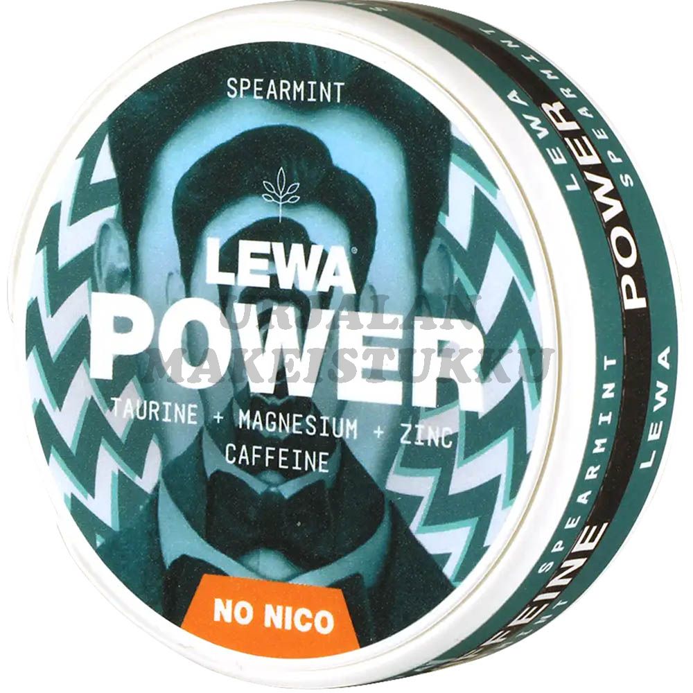 Lewa Spearmint 50mg energiapussi 20 pussia