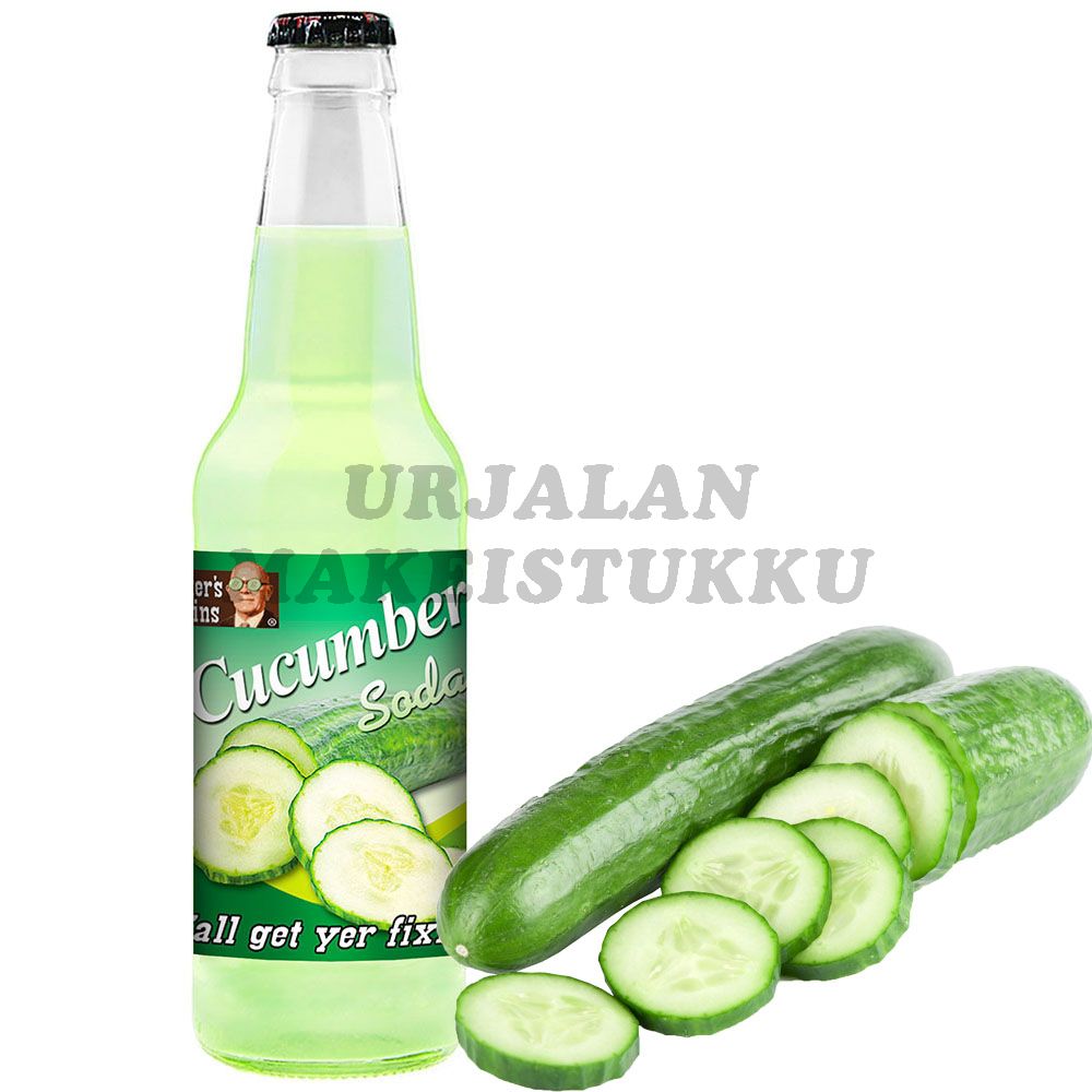 Lester's Fixins Cucumber Soda virvoitusjuoma 355ml