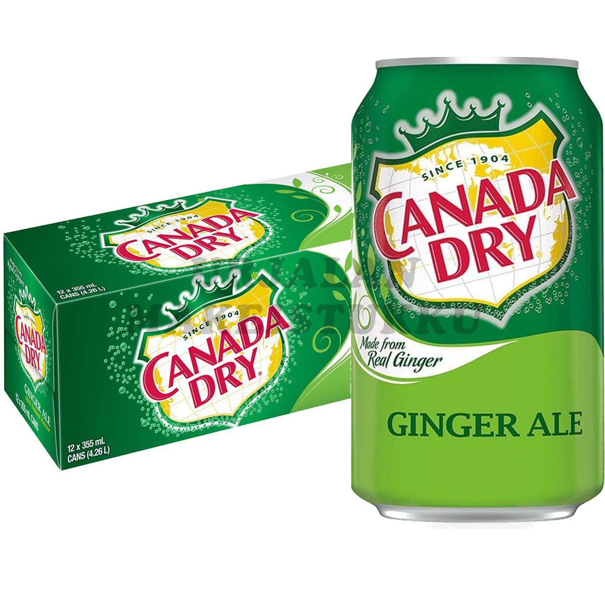 Canada Dry Ginger Ale USA virvoitusjuoma 355ml x 12-pack